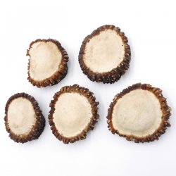 Rosen Abwurf-Rose Hirsch Geweihstange Rothirsch Geweih basteln schnitzen Schmuck