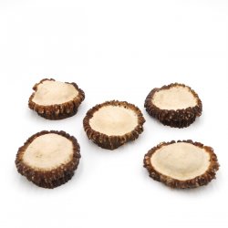 Rosen Abwurf-Rose Hirsch Geweihstange Rothirsch Geweih basteln schnitzen Schmuck