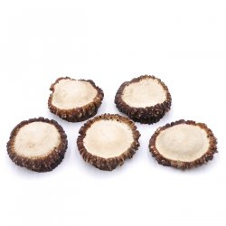 Rosen Abwurf-Rose Hirsch Geweihstange Rothirsch Geweih basteln schnitzen Schmuck