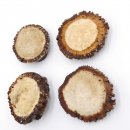 Rosen 4 Stück Abwurf-Rose Hirsch Geweihstange...