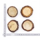 Rosen 4 Stück Abwurf-Rose Hirsch Geweihstange Rothirsch Geweih basteln schnitzen Schmuck 71.5.3.11