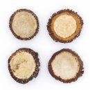 Rosen 4 Stück Abwurf-Rose Hirsch Geweihstange Rothirsch Geweih basteln schnitzen Schmuck 71.5.3.11