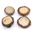 Rosen 4 Stück Abwurf-Rose Hirsch Geweihstange Rothirsch Geweih basteln schnitzen Schmuck 71.5.3.11