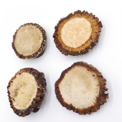 Rosen 4 Stück Abwurf-Rose Hirsch Geweihstange Rothirsch Geweih basteln schnitzen Schmuck 71.5.3.11