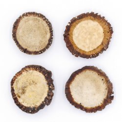 Rosen 4 Stück Abwurf-Rose Hirsch Geweihstange Rothirsch Geweih basteln schnitzen Schmuck 71.5.3.11