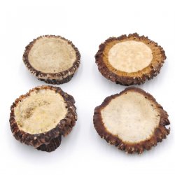 Rosen 4 Stück Abwurf-Rose Hirsch Geweihstange Rothirsch Geweih basteln schnitzen Schmuck 71.5.3.11