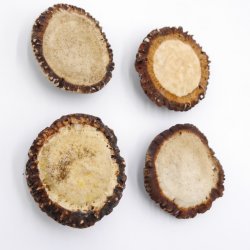 Rosen 4 Stück Abwurf-Rose Hirsch Geweihstange Rothirsch Geweih basteln schnitzen Schmuck 71.5.3.11