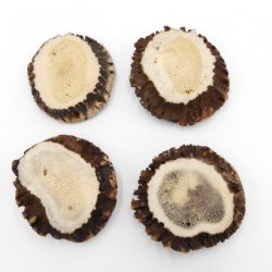 Rosen 4 Stück Abwurf-Rose Hirsch Geweihstange Rothirsch Geweih basteln schnitzen Schmuck 71.5.3.11