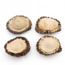 Rosen 4 Stück Abwurf-Rose Hirsch Geweihstange Rothirsch Geweih basteln schnitzen Schmuck 71.5.3.12