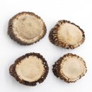 Rosen 4 Stück Abwurf-Rose Hirsch Geweihstange Rothirsch Geweih basteln schnitzen Schmuck 71.5.3.12