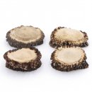 Rosen 4 Stück Abwurf-Rose Hirsch Geweihstange Rothirsch Geweih basteln schnitzen Schmuck 71.5.3.12