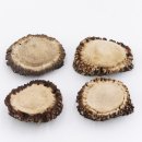 Rosen 4 Stück Abwurf-Rose Hirsch Geweihstange Rothirsch Geweih basteln schnitzen Schmuck 71.5.3.12