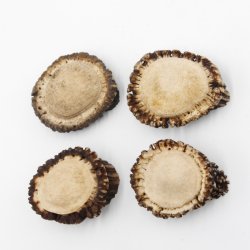 Rosen 4 Stück Abwurf-Rose Hirsch Geweihstange Rothirsch Geweih basteln schnitzen Schmuck 71.5.3.12