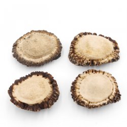 Rosen 4 Stück Abwurf-Rose Hirsch Geweihstange Rothirsch Geweih basteln schnitzen Schmuck 71.5.3.12