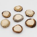 Rosen 7 Stück Rose Hirsch Geweihstange Rothirsch...