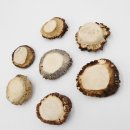 Rosen 7 Stück Rose Hirsch Geweihstange Rothirsch Geweih basteln schnitzen Schmuck 71.5.3.13