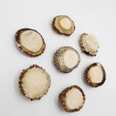 Rosen 7 Stück Rose Hirsch Geweihstange Rothirsch Geweih basteln schnitzen Schmuck 71.5.3.13