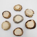 Rosen 7 Stück Rose Hirsch Geweihstange Rothirsch Geweih basteln schnitzen Schmuck 71.5.3.13