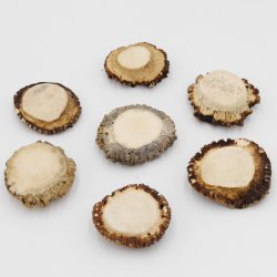 Rosen 7 Stück Rose Hirsch Geweihstange Rothirsch Geweih basteln schnitzen Schmuck 71.5.3.13