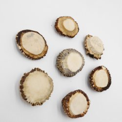 Rosen 7 Stück Rose Hirsch Geweihstange Rothirsch Geweih basteln schnitzen Schmuck 71.5.3.13