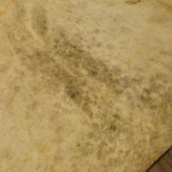 Schaffell geschorenes Schaf Fell Vorleger Länge 100 cm