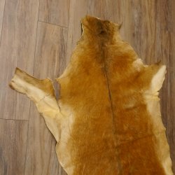 Damhirsch Fell Hirschfell Vorleger Teppich Deko Länge 154 cm 87.3.18