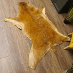 Damhirsch Fell Hirschfell Vorleger Teppich Deko Länge 154 cm 87.3.18