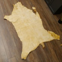 Damhirsch Fell Hirschfell Vorleger Teppich Deko Länge 154 cm 87.3.18