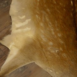 Damhirsch 3 Stück Felle Fell Hirschfell Vorleger Teppich Deko Länge 102-106 cm 87.3.20