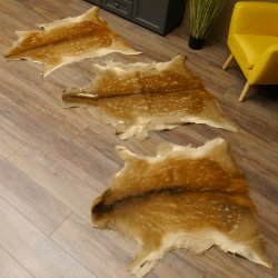 Damhirsch 3 Stück Felle Fell Hirschfell Vorleger Teppich Deko Länge 105-123 cm 87.3.21