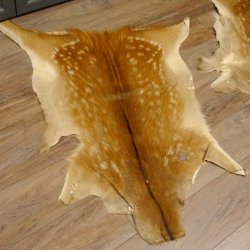 Damhirsch 3 Stück Felle Fell Hirschfell Vorleger Teppich Deko Länge 105-123 cm 87.3.21