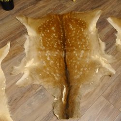 Damhirsch 3 Stück Felle Fell Hirschfell Vorleger Teppich Deko Länge 105-123 cm 87.3.21