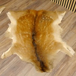 Damhirsch 3 Stück Felle Fell Hirschfell Vorleger Teppich Deko Länge 105-123 cm 87.3.21