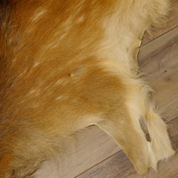 Damhirsch 3 Stück Felle Fell Hirschfell Vorleger Teppich Deko Länge 105-123 cm 87.3.21