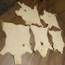 Damhirsch 5 Stück Felle Fell Hirschfell Vorleger Teppich Deko Länge 100-116 cm 87.3.22