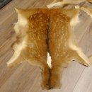 Damhirsch 5 Stück Felle Fell Hirschfell Vorleger Teppich Deko Länge 100-116 cm 87.3.22