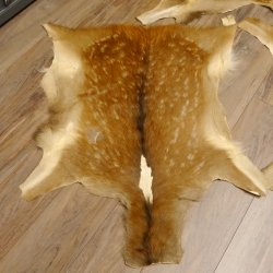 Damhirsch 5 Stück Felle Fell Hirschfell Vorleger Teppich Deko Länge 100-116 cm 87.3.22
