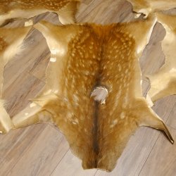Damhirsch 5 Stück Felle Fell Hirschfell Vorleger Teppich Deko Länge 100-116 cm 87.3.22
