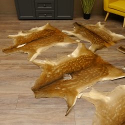 Damhirsch 5 Stück Felle Fell Hirschfell Vorleger Teppich Deko Länge 100-116 cm 87.3.22