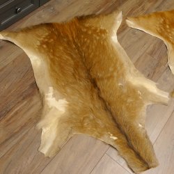 Damhirsch 3 Stück Felle Fell Hirschfell Vorleger Teppich Deko Länge 104-160-113 cm 87.3.23