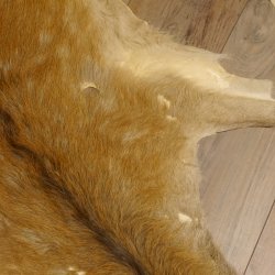 Damhirsch 3 Stück Felle Fell Hirschfell Vorleger Teppich Deko Länge 104-160-113 cm 87.3.23