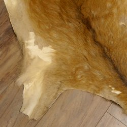 Damhirsch 3 Stück Felle Fell Hirschfell Vorleger Teppich Deko Länge 104-160-113 cm 87.3.23