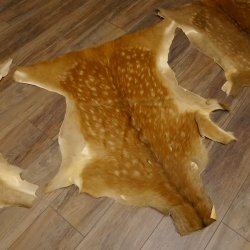 Damhirsch 3 Stück Felle Fell Hirschfell Vorleger Teppich Deko Länge 104-160-113 cm 87.3.23