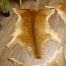 Damhirsch 4 Stück Felle Fell Hirschfell Vorleger Teppich Deko Länge 106-115 cm 87.3.24