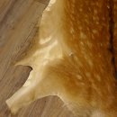 Damhirsch 4 Stück Felle Fell Hirschfell Vorleger Teppich Deko Länge 106-115 cm 87.3.24