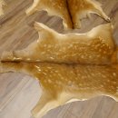 Damhirsch 4 Stück Felle Fell Hirschfell Vorleger Teppich Deko Länge 106-115 cm 87.3.24