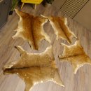 Damhirsch 4 Stück Felle Fell Hirschfell Vorleger Teppich Deko Länge 106-115 cm 87.3.24