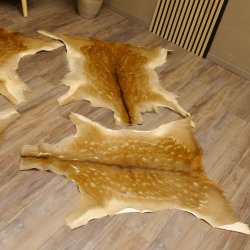 Damhirsch 4 Stück Felle Fell Hirschfell Vorleger Teppich Deko Länge 106-115 cm 87.3.24