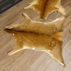 Damhirsch 4 Stück Felle Fell Hirschfell Vorleger Teppich Deko Länge 106-115 cm 87.3.24