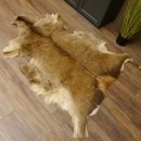 Damhirsch Fell Hirschfell Vorleger Teppich Deko Länge 140 cm 87.3.25